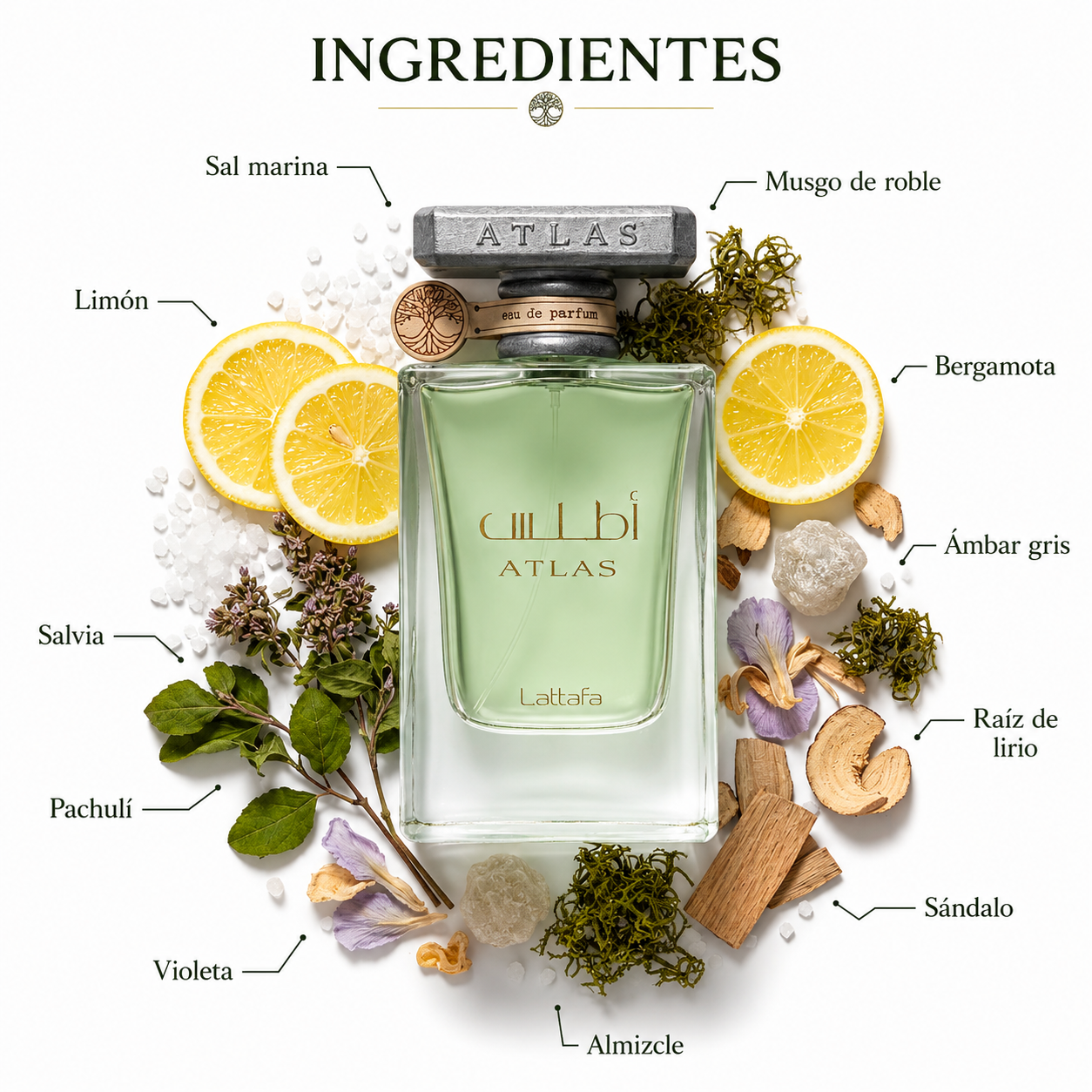 Atlas Lattafa Eau de Parfum Unisex