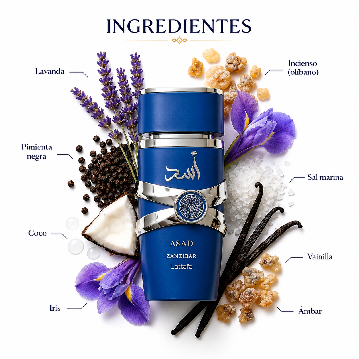 Asad Zanzibar Lattafa Eau de Parfum Para Hombre